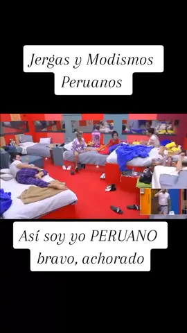 Cono buen Peruano, mi compatriota @Nicola Porcella hablando en jergas bien peruanas y diciendo con mucho orgullo que es bien PERUANO 🇵🇪 #nicolaporcella #peru #lacasadelosfamosos 
