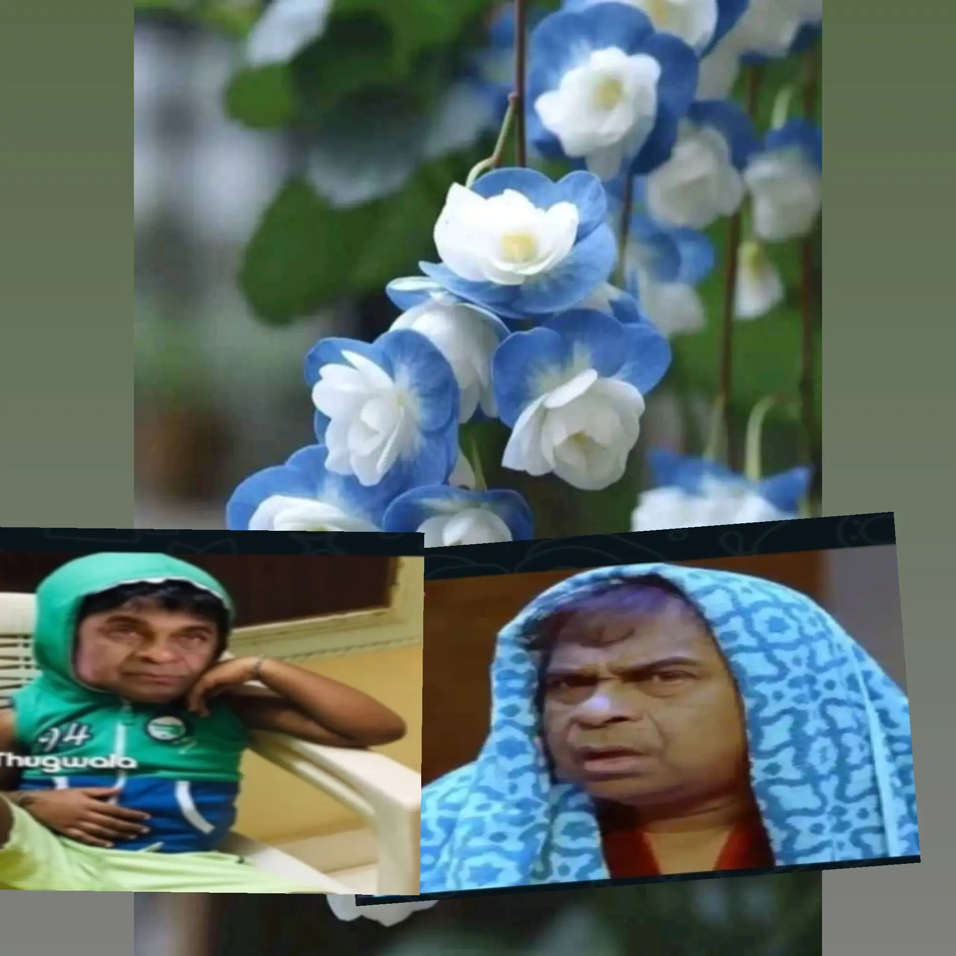 🤣🤣🤣🤣😀😀😀😁😁😁😁🤩🤩🤩🤩🤩🤩