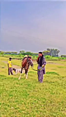 Miss you Bapu.....🥺🥺🥺