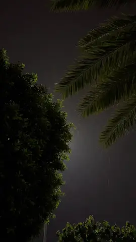 صوت المطر كأنه تعاتيب خلّان .                                             #محمد_عبده #المطر #4u #fyp #foryou #explor 