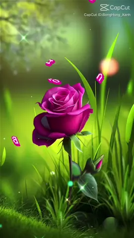 ###LearnOnTikTok ##Master2023byTikTok ##2023❤😍 ##nhachaymoingay ##mùa vu Lan báo hiếu lại về xin dâng lên một đóa hoa hồng đỏ thắm để tặng cho những ai còn cha mẹ để yêu thương nhiều hơn khi còn có thể 🌹🌹🌹 chúc buổi sáng vui vẻ bình an 🌹🌹🌹