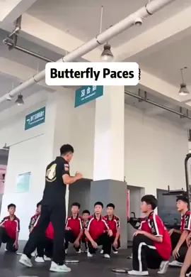 #kungfu#boxing#butterfly training