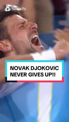 From suffering in the heat to winning an epic with Alcaraz! HE’S NOT HUMAN 👽 #tennis #tennistv #djokovic #sports #alcaraz 