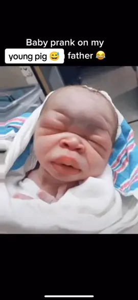 young pig 🤣😅😅😂#virltiktoklvideo #bestpranks #frassbosstv876 #lol #jamaica #prank #babbyprank #lol #jamaicatiktok #jamaicanviralvideos #jamaicancomedy #foryoupage #foryou 