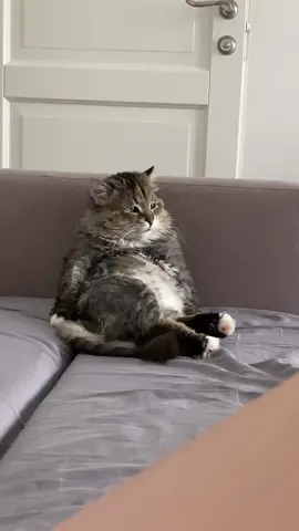 #мнеужеэтотмирпонятен 