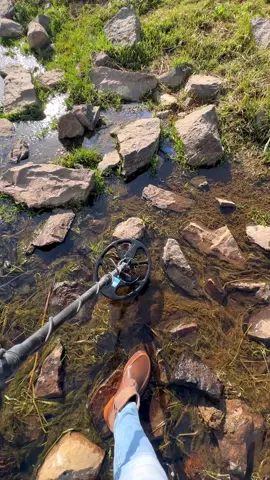Treasure hunting 