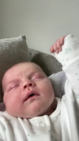 jessie feeling groovy😭😎 #babygirl  #bluerazz #versatile #newborn #funny #fyp #viral 