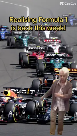 It’s RACE WEEK!! 🏎️💨 #f1 #Motorsport #DutchGP 
