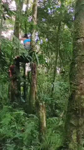 #camping #bushcraft #food 