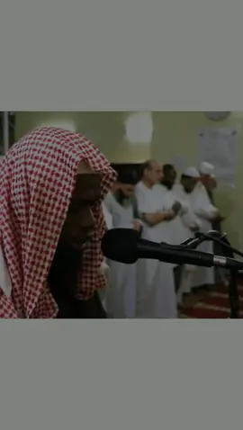 هل اتك حديث موسى عكاشه كميني  #الله#اكبر 