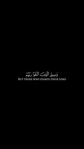 #وسيق_الذين_اتقوا_ربهم_الي_الجنه_زمرا #سورة_الزمر #حسين_العزام #quran #كرومات_جاهزة_لتصميم #qroma #fyp #explore #viral 