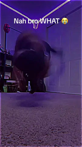 That was unexpected 🤯🗿🔥 #bboy #breakdance #dancebattle #baile #viral #xyzbca #respect #fypシ 