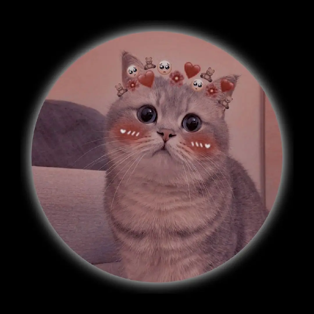 cat dp'z 🐈😺 💙#foryou #foryoupage #videoviral #dpz📸 #viralvideo #tiktok #fpy #mycontent #request_done_✅ #unfrezzmyaccount #Love #growmyaccount 