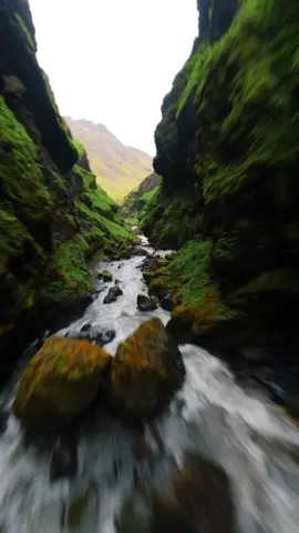 Exploring canyons in Iceland🇮🇸 #fpvdrone #icelandadventure #droneoftheday 
