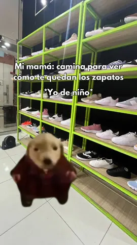 Puro flow 🔥 #mnk #calzado #zapatillas #perrito #perrito #roblox #perritogordito #perritoroblox #fyp #fypシ #fypviralシ 