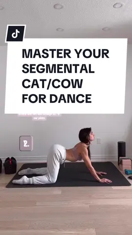 What’s the difference between this and the traditional cat/cow so many of us consistently perform in Yoga classes?  QUALITY OF THE MIND-BODY CONNECTION = LONG-TERM EFFECTIVENESS = SPINAL HEALTH #ballerinaturnedbeast #exoticpoledancevlg #poledanceprogram #flexibilitycoach #poledancetrainer #howtofrontsplits #stretchingforsplits #stretchingstudio #trainingfordancers #spinalflexibility 