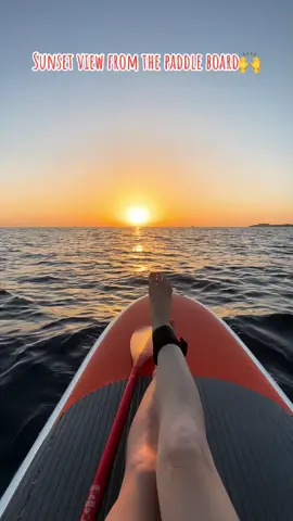 Sunset from the paddle board🙌 #sunset #paddle #paddleboarding #paddleboard #ocean #sea #nature 