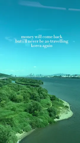 if you needed a sign here it is😚go book that flight gurl #koreatravel #korea #Vlog #koreavlog #travelsign 