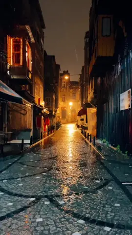 Step into a world of introspection and contemplation with 'Midnight Musings: Walking Alone in the Rain-Drenched Streets.' In this captivating short video, experience the profound solitude of a nighttime journey as you follow a first-person perspective down empty, glistening streets, bathed in the gentle embrace of raindrops. As the world sleeps, the mind awakens, weaving intricate thoughts and philosophical ponderings amidst the tranquil symphony of falling rain. Join us on this atmospheric expedition, where the darkness becomes a canvas for the soul's reflection, and the rain whispers the secrets of the universe.#chill #relax #rain #night