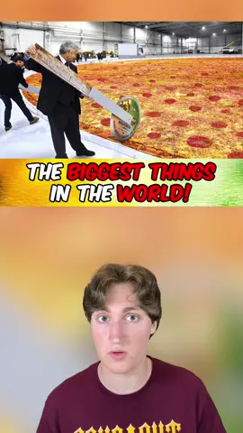 The Biggest Things In The World #fy #fyp #foryoupage #viral #facts #EduTok #LearnOnTikTok #learn #big #huge #worldrecord #giant 
