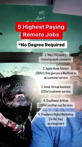 💜 Like, Share & Save You don’t need to be an influencer or have a large following to be successful!  All you need is:  ✨ Smartphone ✨ Wi-Fi  ✨ 2-3 hours to spare ✨ Teachable Comment “ready” and I’ll send you the info or if you are an action taker, check the link in my page 🔗 🔥 @g.theaffiliateguy 👈 📲 Follow for more tips ‼️⬇️  💬 Comment if you have any questions #workfromanywhere #beyourownboss #quityourjob #quit9to5 #mentorship #financialfreedom #financialindependence #digitalmarketing2023 #digitalmarketingforbeginners #digitalmarketingforbeginners2023 #2023  #successin2023  #millionairemindset #millionairelifestyle #letsgetit2023 #hustle2023 #sidehustle2023 