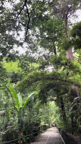 #parati #2023❤😍 #happy #parquenacional #uruapan🥑❤️ #Michoacan #purismo #naturalezaporelmundo #rodilladeldiablo #viralvideo #tiktok 