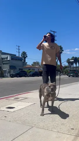 Post tropical storm coffee run #OOTD #dogs #coffee 
