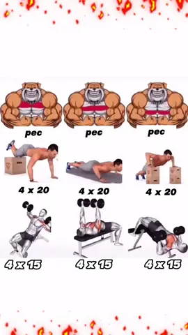 #Fitness #sports #gym #workout #bodybuilding 