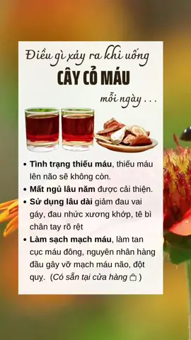 ĐIỀU GÌ SẼ XẢY RA khi bạn UỐNG CÂY CỎ MÁU mỗi ngày ? #meodangian #baithuocdangian #meohay🇻🇳🇧🇷 #baithuochay #suckhoechomoinguoi #xuhuong 