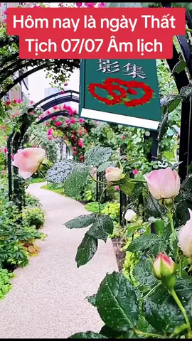 #ngaythattich7thang7 #cuocsong 