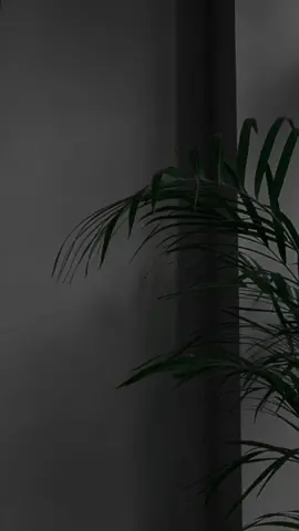 القارئ : بلال دربالي 🤍 #بلال_دربالي #واذا_سألك_عبادى_عنى_فانى_قريب #quran #quran_alkarim #fypシ #اكسبلورexplor #مقاطع_دينية #اذكروا_الله_يذكركم #explor #الذاكرين_الله_كثيرآ_والذاكرات❤️❤ #اسلاميات #صلوا_على_رسول_الله #اللهم_صل_وسلم_على_نبينا_محمد #بلال_دربالي_صوت_من_الجنة🥺🥀❤🖤 #بلال_دربالي🤍 #تلاوة_خاشعة #4u #foryou #منوعات_دينيه 