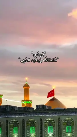 اللهم اجعلنا من خدام زوار ابا عبدالله الحسين ✨🤍 #سيد_فاقد_الموسوي #روحي_مشتاقه_وبعيد_الدرب #شيعه_علي_الكرار #اشهد_ان_الحسين_ذبيح_الله #زيارة_الامام_الحسين_ع_ #باسم_الكربلائي #greenscreenvideo #backbenchersonflipkart #يالعفتني_املي_دربك_بس_خواطر #والدي_شمس_وامي_قمرٌ #يانفس_من_بعد_الحسين_هوني #fypシ #foryou #fyyyyyyyyyyyyyyyy #الشعب_الصيني_ماله_حل😂😂 #زيارة_الاربعينية #كربلاء_المقدسة 