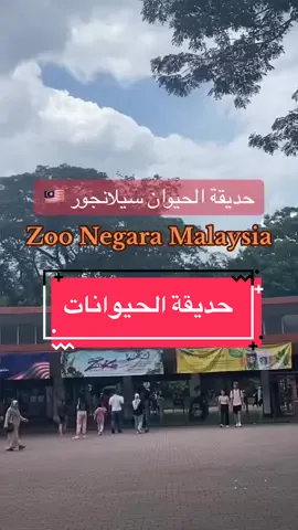 #CapCut #malaysia #kulalampur #kualalumpurmalaysia #kulalampur_malaysia #kualalumpurtiktok #selangor #zoo #explor #explorepage #langkawi #penang #gentinghighlands #ماليزيا #ماليزيا🇲🇾 #ماليزيا_كوالالمبور #ماليزيا_جزيرة_لنكاوي #ماليزيا_لانكاوي #ماليزيا_بيناج #كوالالمبور #كوالالمبور_ماليزيا #كوالالمبور🇲🇾 #لنكاوي #لنكاوي_ماليزيا #حديقة_حيوانات #حديقة_حيوان #zoo_negara_malaysia #سيلانجور #سيلانجور_صنواي #فنادق_سيلانجور #بينانج #جنتنغ #فلوق #يوميات #سفر #سياحة #سياحة_سفر #سياحة_سفر_رحلات #السعوديه #uae #الشعب_الصيني_ماله_حل😂😂 #أنشطة 