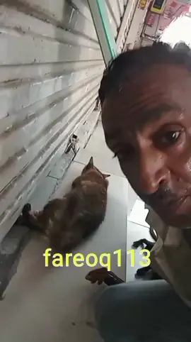 القطو مب عارف شيسوي يشرد ولا يسمع سالفة بوعمار 😂😂😂 ‏‎#عابر_القارات #البحرين #قطر #الكويت #السعودية #الامارات_العربية_المتحده🇦🇪 #عمان #الشعب_الصيني_ماله_حل😂😂 #ضحك #قطط #سنور #ترند #تيك_توك #نشر #نصائح #مشاهير_تيك_توك #cats #catsoftiktok #catsnightmare #exp #explore #fun #laugh #joke #street #celebrity  #قطاوه #فاروق  #حليب_ساطر #سوريا🇸🇾  #فلسطين🇵🇸 #استهبال #ضحك  #وناس #جمال  #ترند  #تحديات_تيك_توك  #مشهد_قوي✅ #قطر #هستره  #fyp  #foryoupage  #tiktokchallenge #duet #trending #comedia 