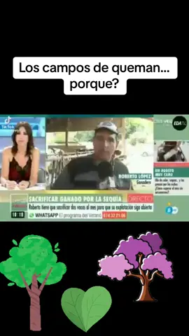 Porque estan srdiendo los campos   #viral #foryou #parati #cambioclima #calor#campos#incendiosforestales🔥😩 #agrnda2030 #pueblos 