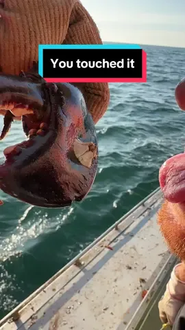 Replying to @Lori 🦋 The claw spa continues this week! #maine #lobster #lobstertok #ocean #fishing #seafood #interesting #DidYouKnow #education #educate #mainelobster #lobsterfishing #fy #fyp #commercialfishing #seacreatures #clawspa 