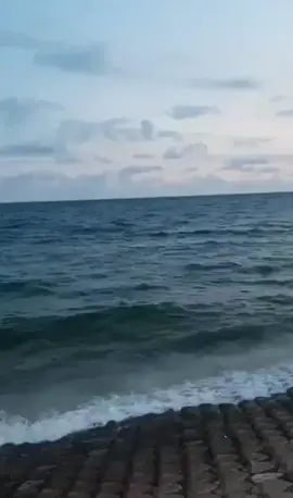 #videohaihuoc #funnyvideos #funny #meme #xuhuong 