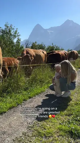 Look at these cuties #babiesofinstagram  #babylife #parentinglife  #experiencinglife #seeingtheworld #parentsofig #parentlife #parents #foryoupage #fyp #momandbaby #moms #momsofinstagram #youngmoms #babygirl #babies #mommys #cutevideos #wholesome #viral #trending 