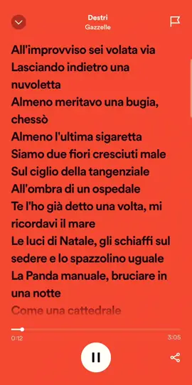 Destri- Gazzelle 🎶 #neiperte #foryoupage #viraltiktok #perte #foryou #fyp #viralvideo #song #canzoni #gazzelle #destri #destrigazzelle 