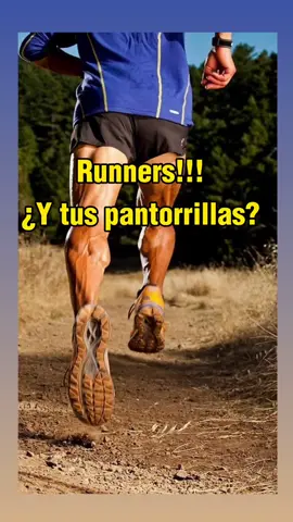 Entrenar las pantorrillas es de gran importancia para los corredores, ya que estas músculos desempeñan un papel crucial en la carrera y pueden mejorar el rendimiento general. Aquí hay algunas razones por las que el entrenamiento de las pantorrillas es esencial: 1. Potencia y propulsión: Las pantorrillas, compuestas principalmente por el músculo gastrocnemio y el sóleo, son responsables de generar fuerza y potencia durante la fase de propulsión de la zancada. Estos músculos ayudan a empujar el suelo y propulsar el cuerpo hacia adelante. 2. Estabilidad y equilibrio: Las pantorrillas también desempeñan un papel importante en la estabilización y el equilibrio durante la carrera. Proporcionan soporte a los tobillos y ayudan a controlar el movimiento de los pies y las piernas. 3. Prevención de lesiones: Las pantorrillas fuertes pueden ayudar a prevenir lesiones comunes en corredores, como las lesiones en los tendones de Aquiles y las fracturas por estrés en la tibia. 4. Eficiencia en ascensos y descensos: Durante la carrera en terrenos montañosos o con pendientes, las pantorrillas desempeñan un papel importante al subir y bajar colinas. Algunos ejercicios efectivos para entrenar las pantorrillas incluyen levantamiento de talones (calf raises), saltos de pantorrilla y ejercicios de salto como saltos a una pierna. También es importante recordar incluir el estiramiento y el calentamiento adecuado de las pantorrillas antes y después de los entrenamientos para prevenir lesiones y mejorar la recuperación muscular. . SÍGUENOS EN INSTAGRAM ▶️ @fep_suplementos 💪 . . . . . . . . . . . . . . . . #FepSuplementosAtacama #gymclothes #gymreels2023 #gymworkouts #gymchile #gymmotivation #gymrat #gymflow #gymbros 