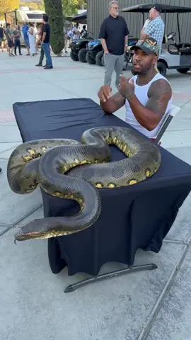 My anaconda 🐍