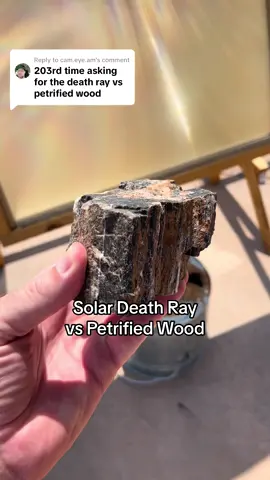 Replying to @cam.eye.am  Giant lens from old TV vs pine wood, rock, and petrified wood #solardeathray #physics #geology #science #fossil 