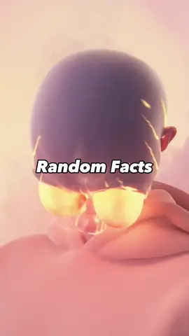 Did you know about these ? #randomfacts #DidYouKnow #LearnOnTikTok #satisfying #curiosity #facts 
