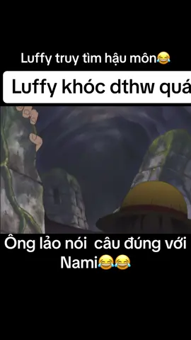 Luffy đúng hẳn là rất vui😂😂 #anime #onepiece #lol#lmao #nami 