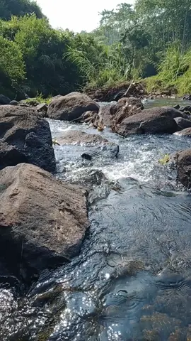 #sungai #kali #pemandangan 