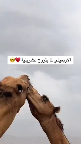 #الشعب_الصيني_ماله_حل😂😂  #تعليقاتكم  #شفتو_الي_انا_شفتو 