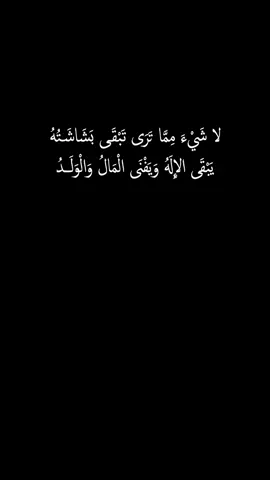 حدد أولوياتك في الحياة. وأثناء ذلك تذكر هذه الأبيات. #ابيات #شعر #حياة #سعادة #اكسبلور 