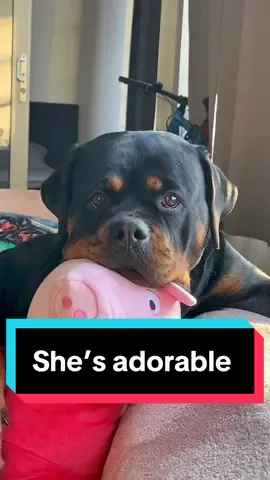She’s adorable 🥹 #rottweiler #cutedog #puppy #peppapig #dog #dogsoftiktok 