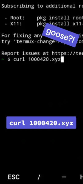 goose (^o^) #goose #cmd #termux 