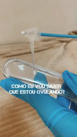 Você sabe como é a sua secreção vaginal DURANTE A OVULAÇÃO? Entao assista esse video! Vai te ajudar a se conhecer melhor, e a planejar suas relações 😄♥️ #ginecologia #ovulacao #tabelinha #secrecao 